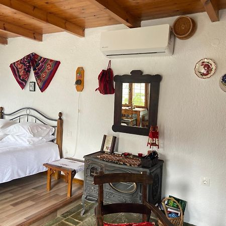 Kritsá Villa Kamari- Stunning Views מראה חיצוני תמונה