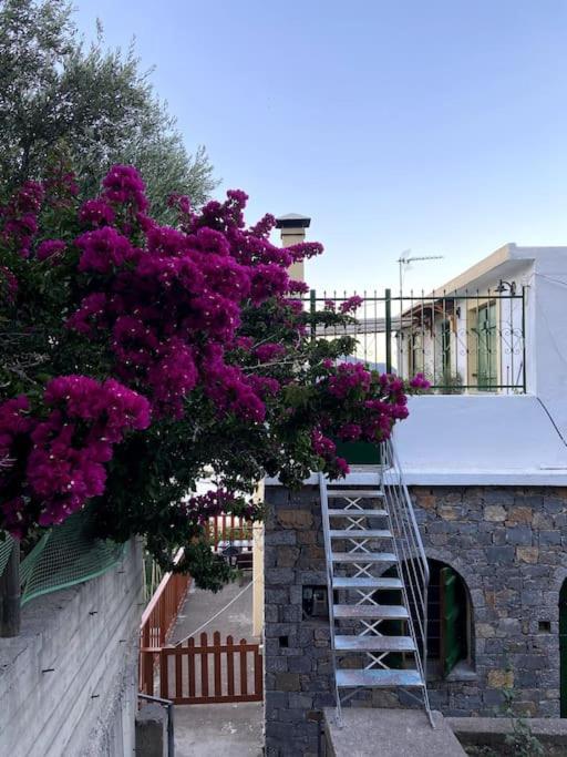 Kritsá Villa Kamari- Stunning Views מראה חיצוני תמונה