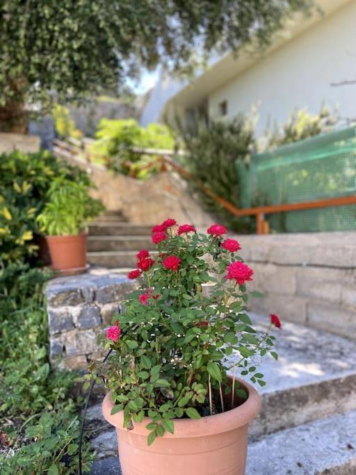 Kritsá Villa Kamari- Stunning Views מראה חיצוני תמונה